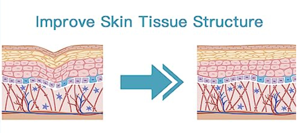 Skin Absorption